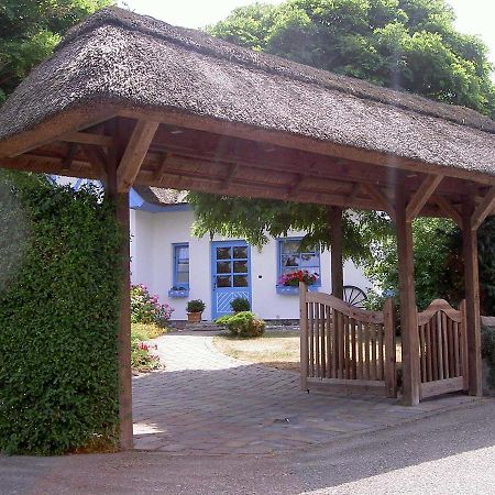 Ferienhaus Diekelmann _ Objekt 258 Diedrichshagen  Eksteriør billede